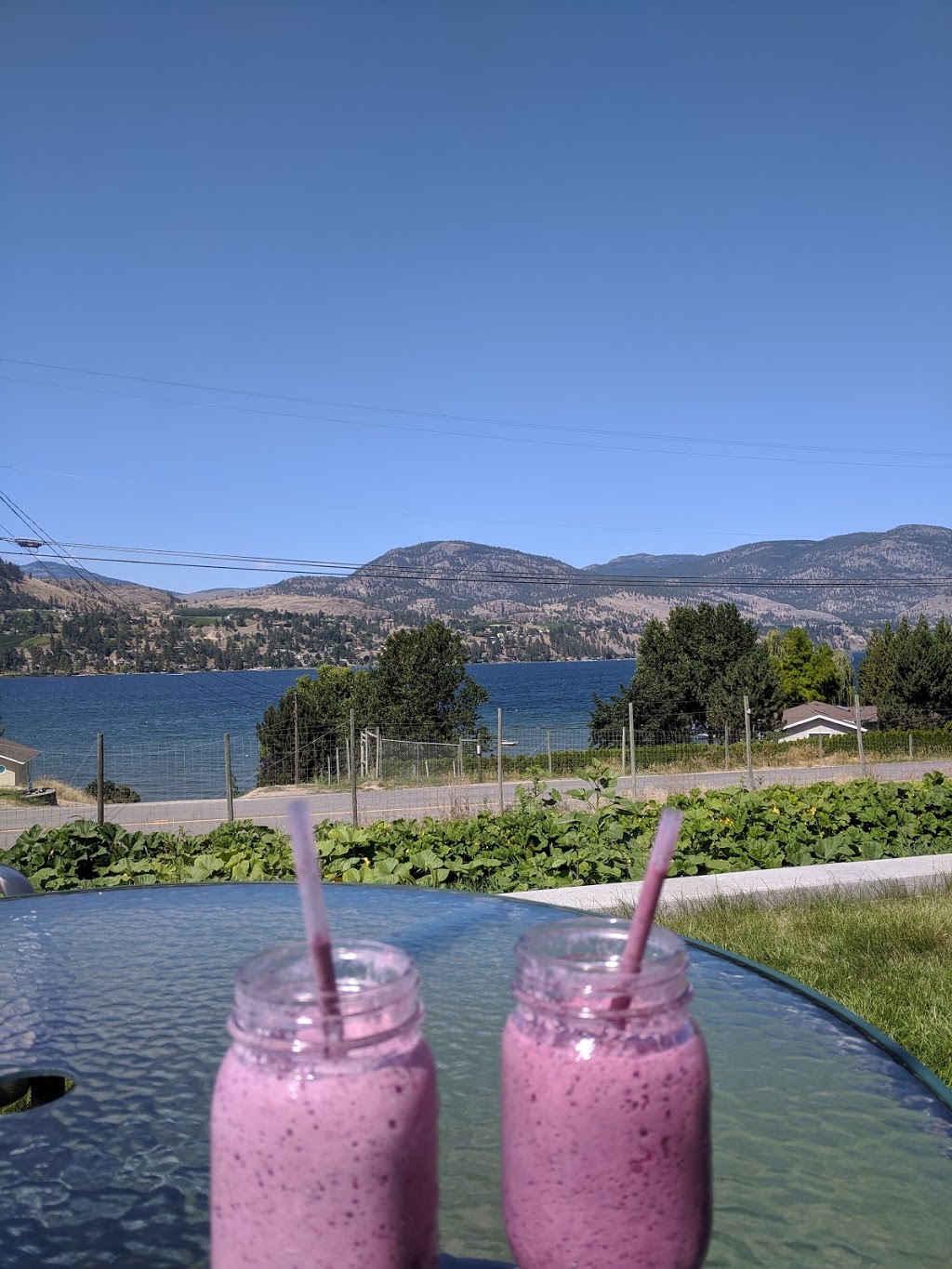 Matheson Creek Farm | 29 Eastside Rd, Okanagan Falls, BC V0H 1R5, Canada | Phone: (250) 497-8989