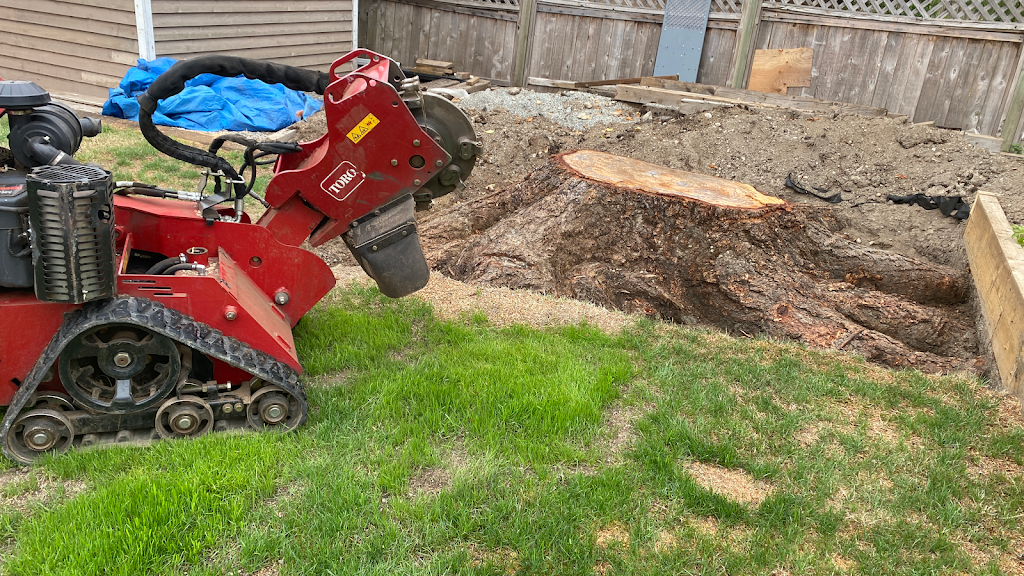 Stump Shredder - Stump Removal Service | 20109 36a Ave, Langley Twp, BC V3A 2R9, Canada | Phone: (604) 655-9514