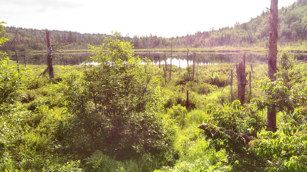 Camping B | Lac-Wapizagonke, Shawinigan, QC G0X 2E0, Canada