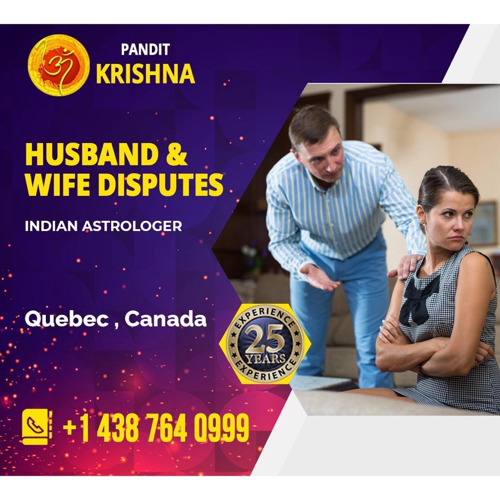 SRI Hanuman astrologer | 1060 Rue Bousquet #2, Laval, QC H7G 3H7, Canada | Phone: (438) 787-7555