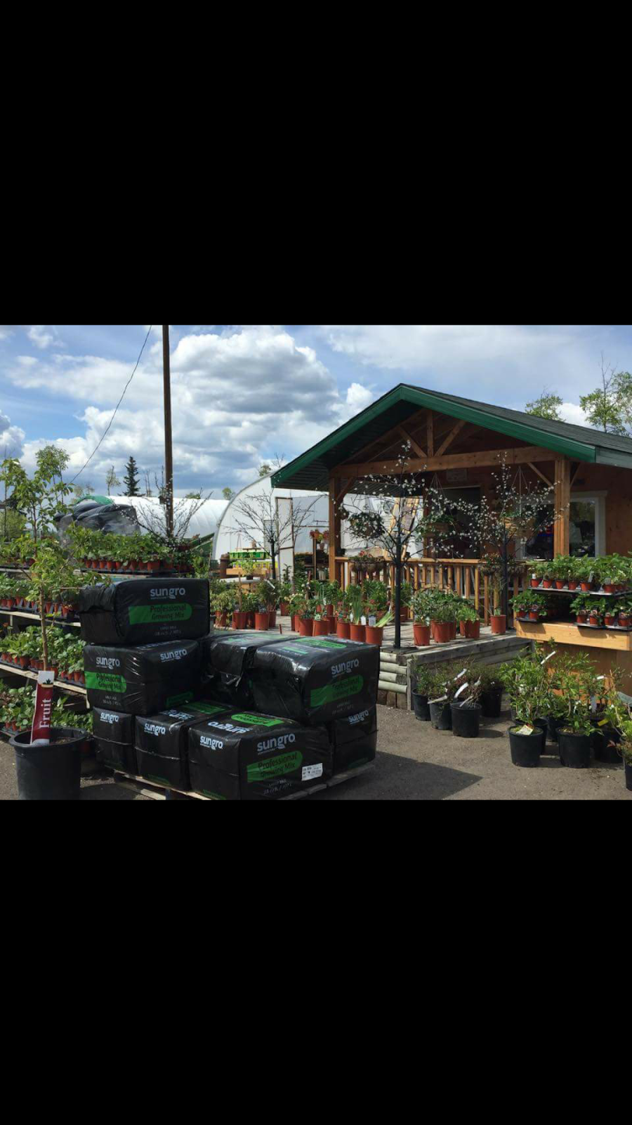 Bellis Garden and Greenhouses | 60106 Range Rd 152, Bellis, AB T0A 0J0, Canada | Phone: (780) 636-2669