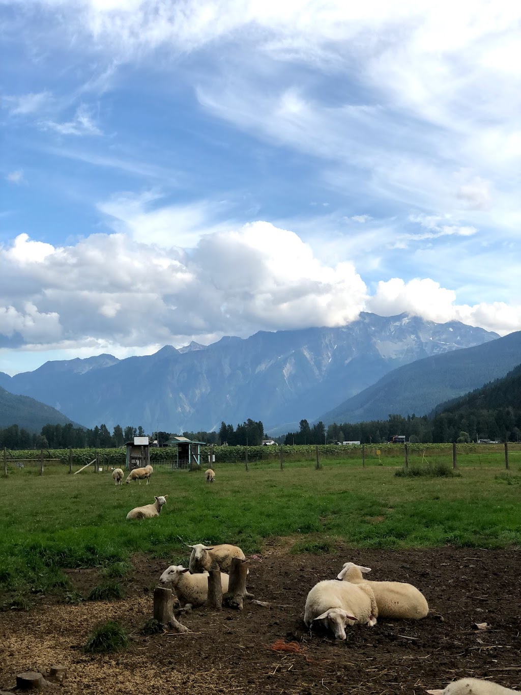 The Beer Farmers | 8324 Pemberton Meadows Rd, Pemberton, BC V0N 2L2, Canada | Phone: (778) 770-1523