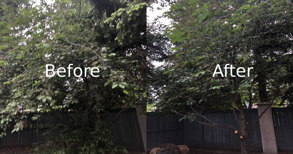 Regen Tree Service | 384 Woodside Cir NW, Airdrie, AB T4B 2J8, Canada | Phone: (403) 483-2689