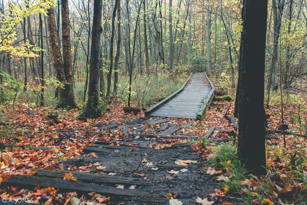 Sudden Regional Forest | 1822 Spragues Rd, Cambridge, ON N1R 5S5, Canada