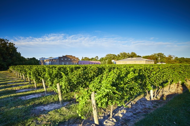 Strewn Winery | 1339 Lakeshore Rd, Niagara-on-the-Lake, ON L0S 1J0, Canada | Phone: (905) 468-1229