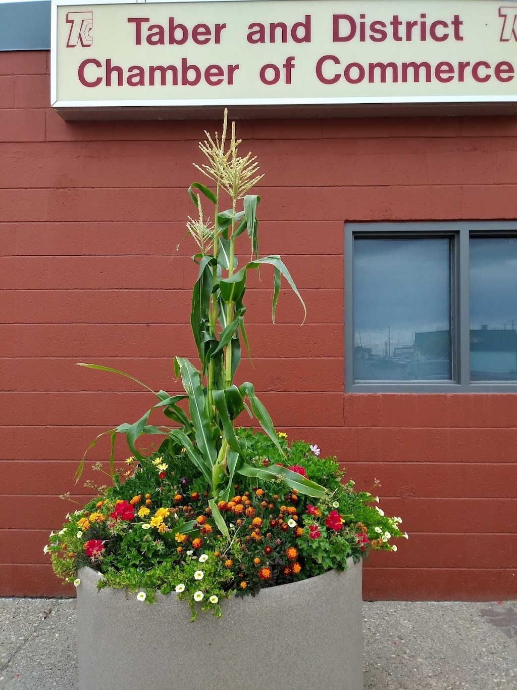 Taber Irrigation Impact Museum | 4702 50 St, Taber, AB T1G 2B6, Canada | Phone: (403) 223-5708