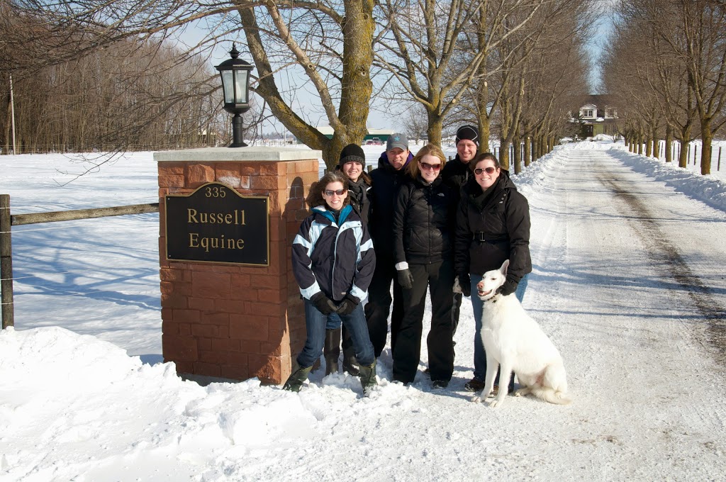 Russell Equine Veterinary Service | 383 Rte 100, Russell, ON K4R 1E5, Canada | Phone: (613) 445-3521