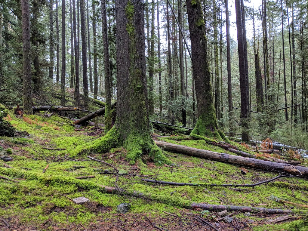 High Knoll Lookout | High Knoll Trail, Coquitlam, BC V3E 3H6, Canada