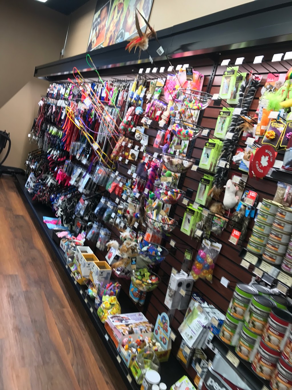 Pet Valu | 4303 50 St #8, Innisfail, AB T4G 1B6, Canada | Phone: (403) 227-8850