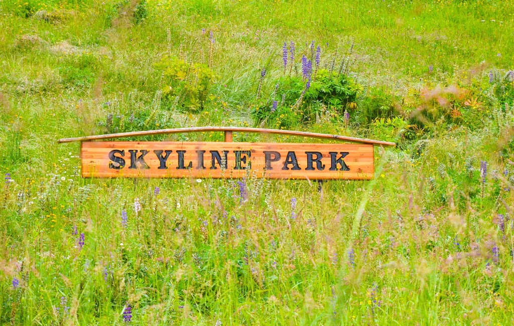 Skyline Park | 1305 Eastern Dr, Port Coquitlam, BC V3C 5Z2, Canada | Phone: (604) 927-5411