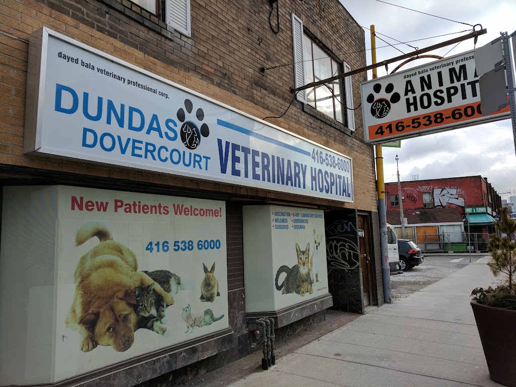 Dundas Dovercourt Animal Hospital | 1452 Dundas St W, Toronto, ON M6J 1Y2, Canada | Phone: (416) 538-6000