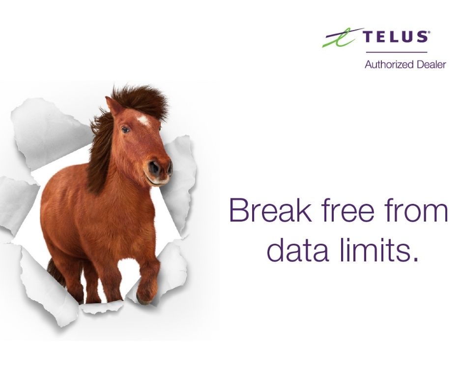 TELUS Koodo Shop | 167 Keil Dr S, Chatham, ON N7M 3H3, Canada | Phone: (519) 351-2800