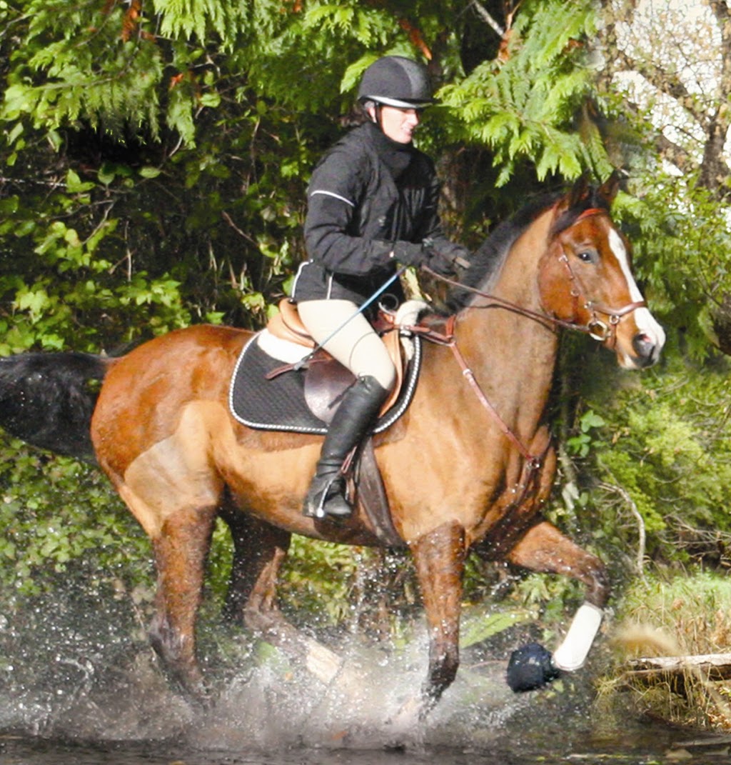 Cavallo Hoof Boots | 1714 Lockyer Rd, Roberts Creek, BC V0N 2W1, Canada | Phone: (877) 818-0037