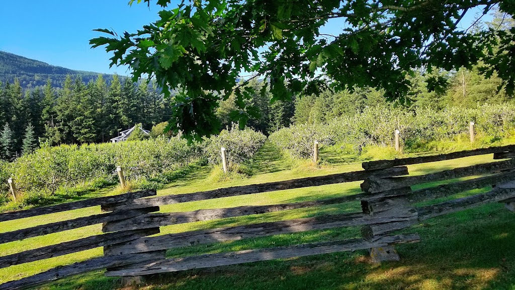 Country’s Edge Blueberry Farm | 200 Columbia Valley Rd, Lindell Beach, BC V2R 4X6, Canada | Phone: (604) 847-0481