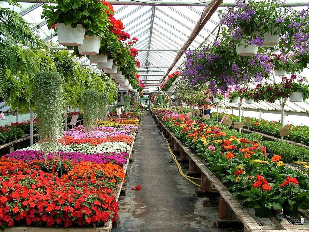 Green Acres Greenhouses | ON-3, Wainfleet, ON L0S 1V0, Canada | Phone: (905) 899-1201