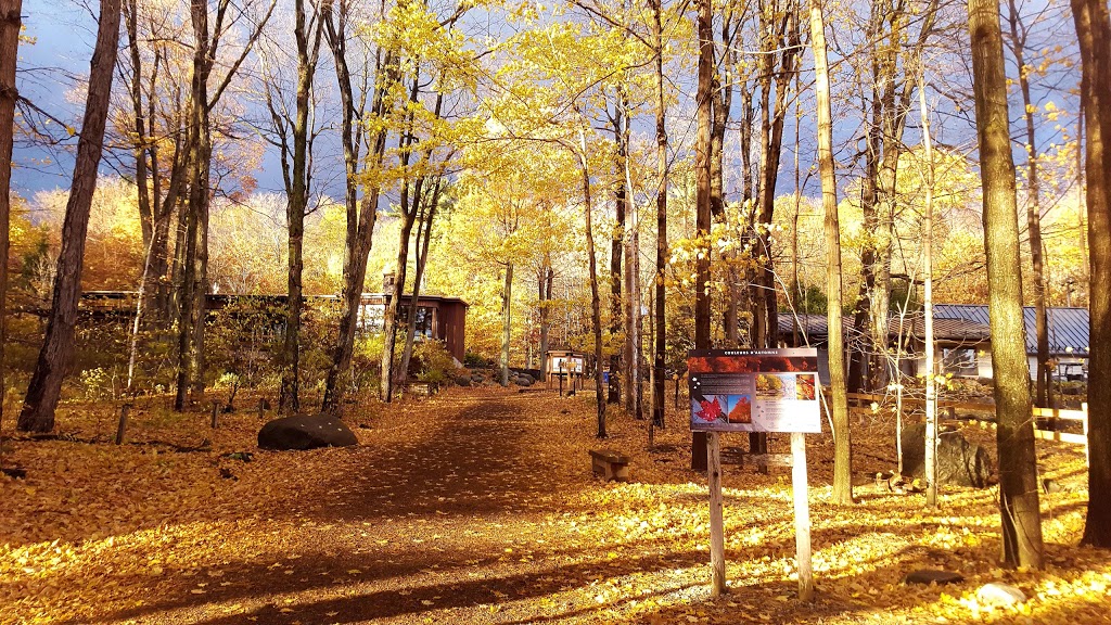 Refuge doiseaux de Mont-Saint-Hilaire | Gault Nature Reserve, 422 Chemin des Moulins, Mont-Saint-Hilaire, QC J3G 4S6, Canada | Phone: (450) 467-4010