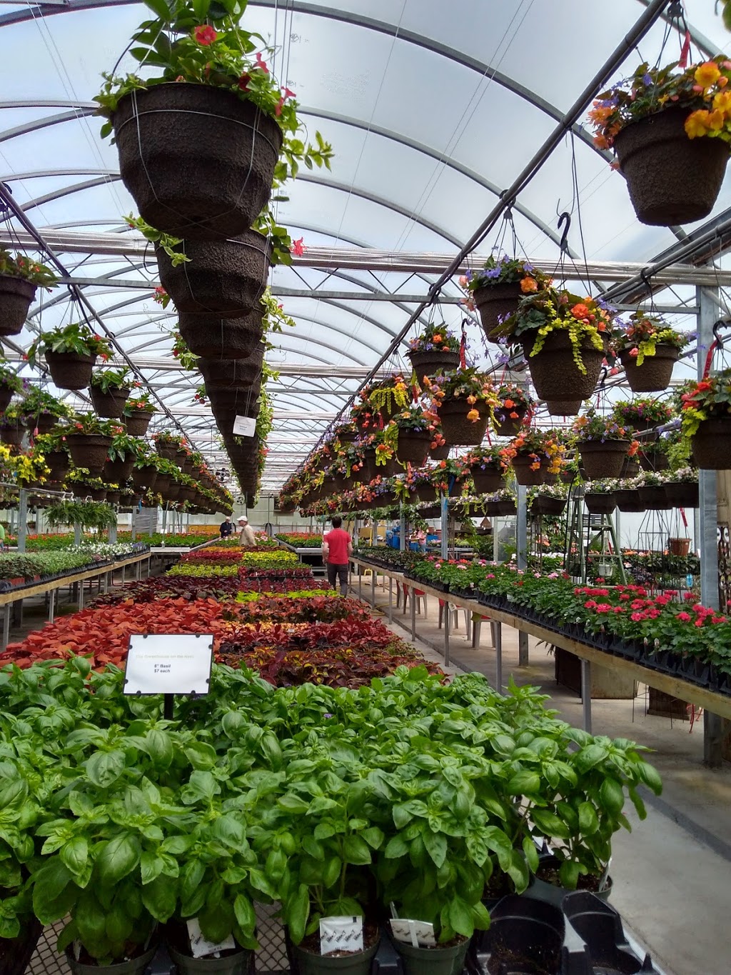 Greenhouse On The River | 4115 County Rd 32, Douro-Dummer, ON K0L 2H0, Canada | Phone: (705) 652-8154