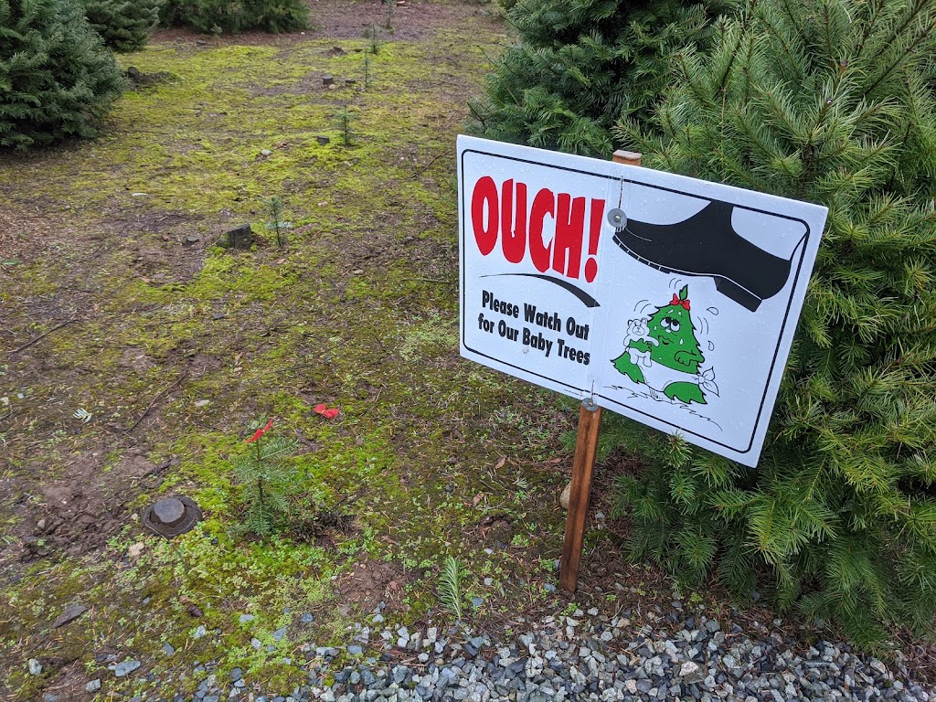 Frostys Family Christmas Tree | 24488 52 Ave, Langley Twp, BC V2Z 1E1, Canada | Phone: (604) 856-4889