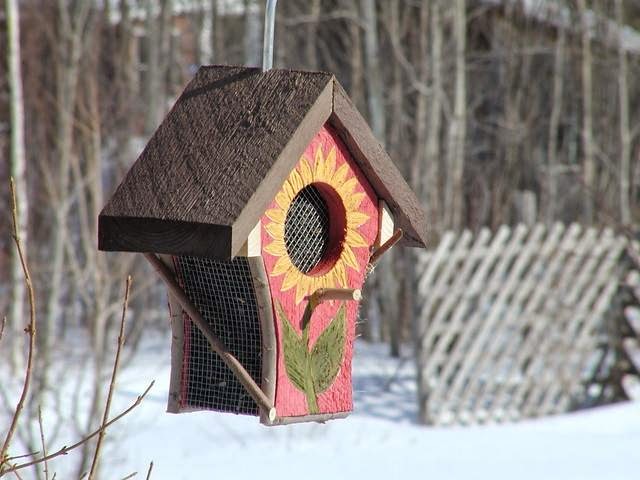 Bird Garden | 3203 NB-114, Edgetts Landing, NB E4H 2E9, Canada | Phone: (506) 734-2489