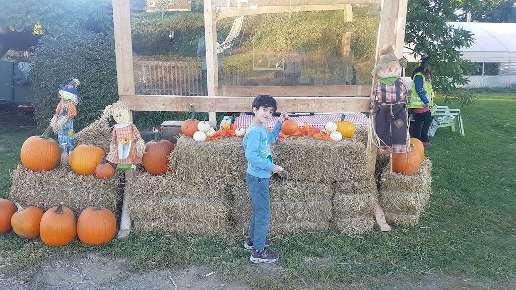 Ferme Roland Cloutier | 855 Chem. Fresnière, Saint-Eustache, QC J7R 0E9, Canada | Phone: (450) 472-8658