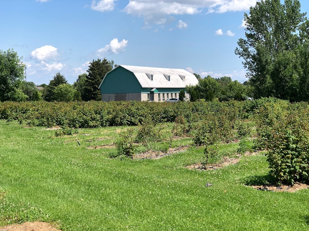 Ferme ruisseau des chasseurs | 2560 Rue Saint-Jean-Baptiste, Jonquière, QC G7X 7V5, Canada | Phone: (418) 591-3711