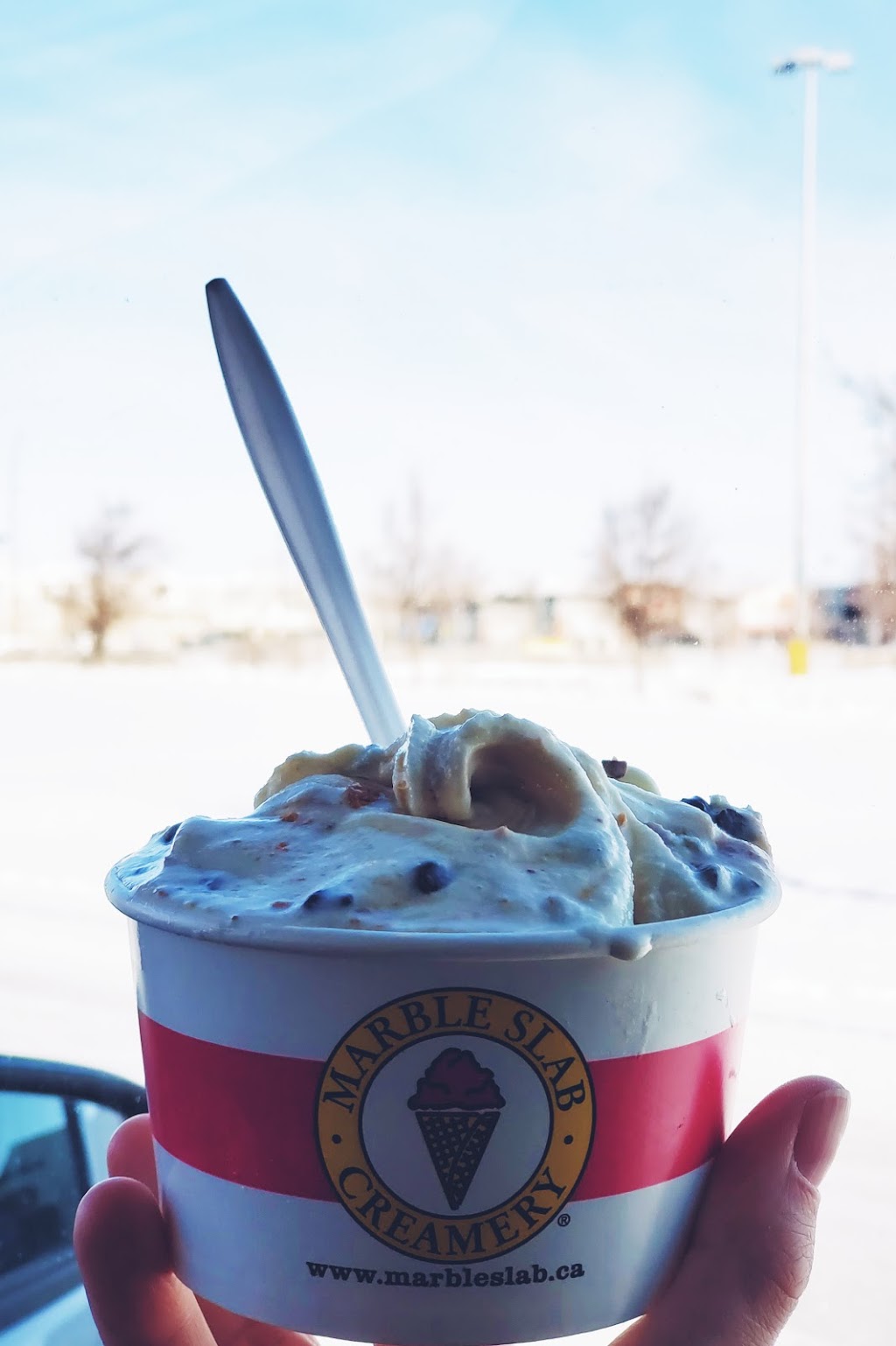 Marble Slab Creamery | 1600 Kenaston Blvd #180, Winnipeg, MB R3P 0Y4, Canada | Phone: (204) 415-7225