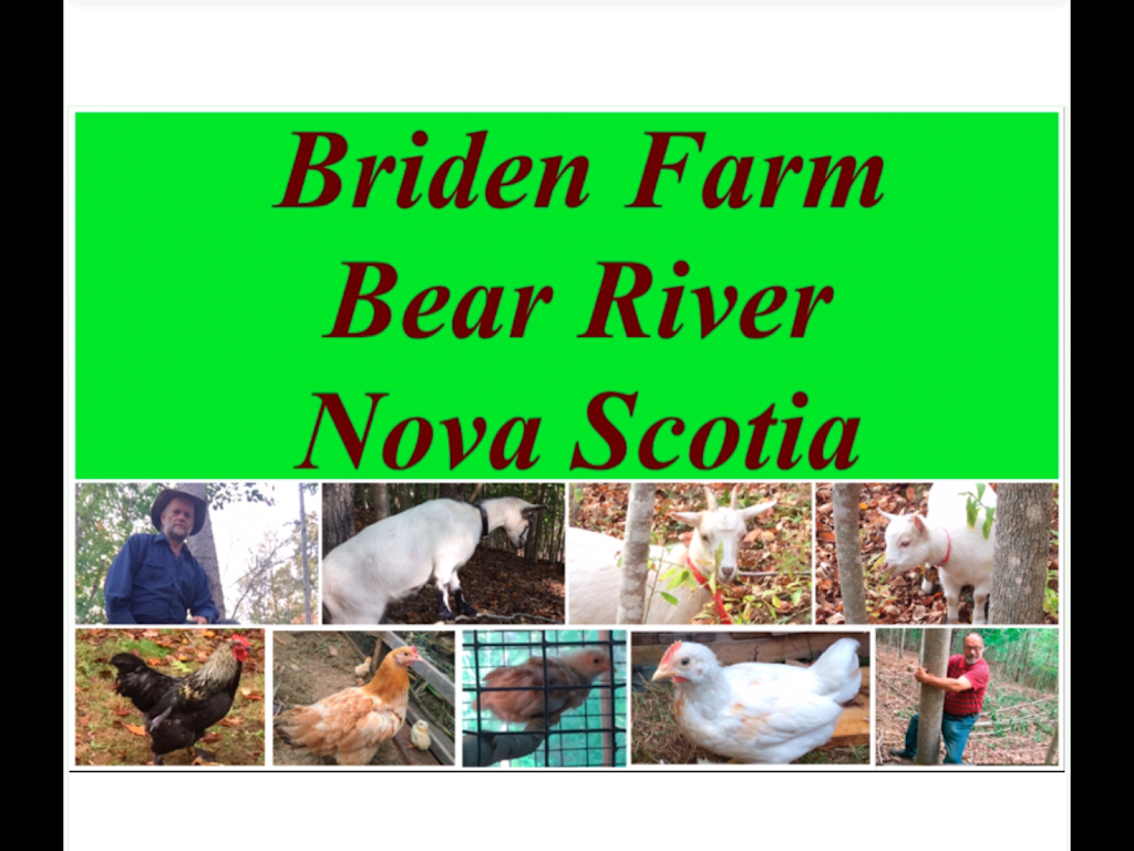 Briden Farm | 60 Rice Mullen Rd, Bear River, NS B0S 1B0, Canada | Phone: (902) 907-0770