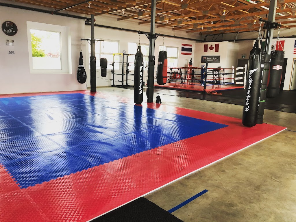 Black Rock Martial Arts | 491 Island Hwy E, Parksville, BC V9P 1T5, Canada | Phone: (250) 927-6960