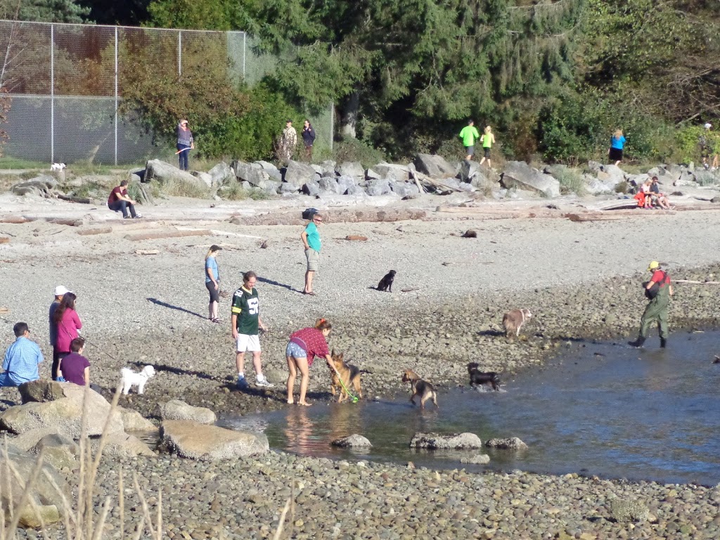 Ambleside Dog Beach | Burrard Inlet, BC, Canada