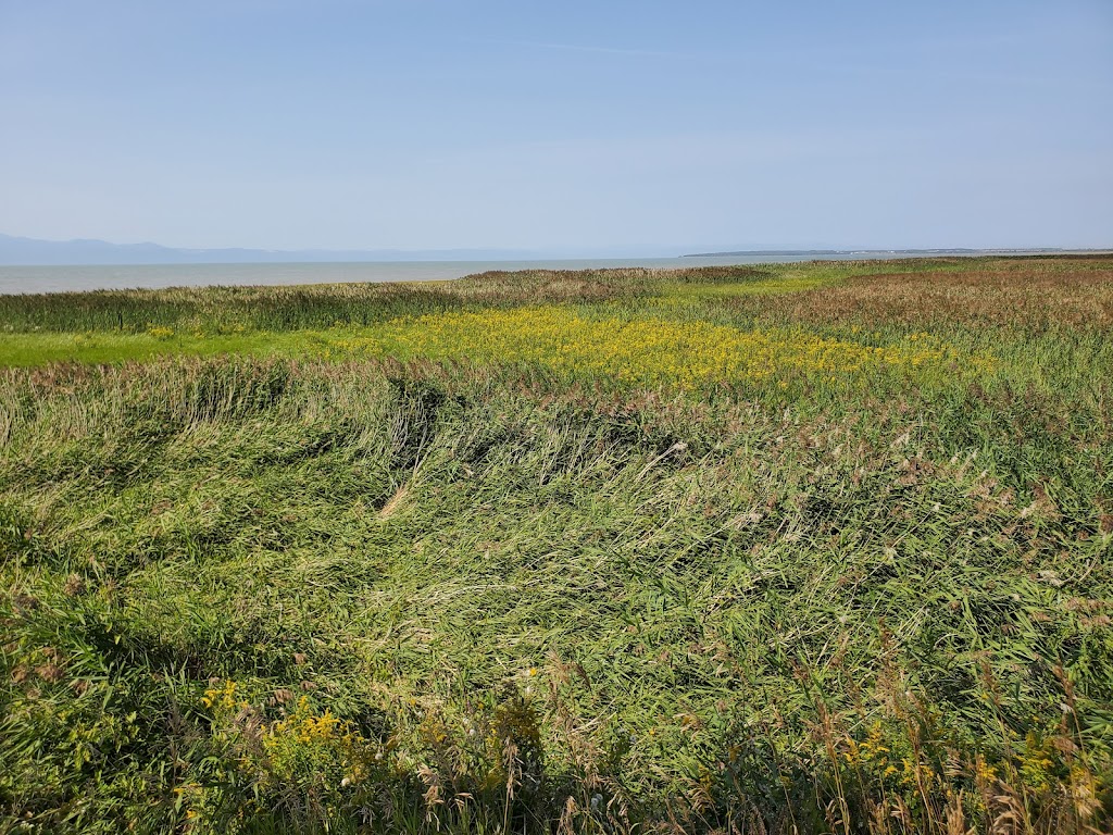 Tourisme Kamouraska | 10 Rte du Quai, La Pocatière, QC G0R 1Z0, Canada | Phone: (888) 856-5040