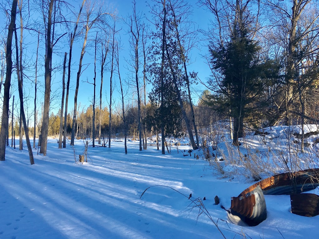 Monk Environmental Park | South March, Ottawa, ON K2K 1X7, Canada