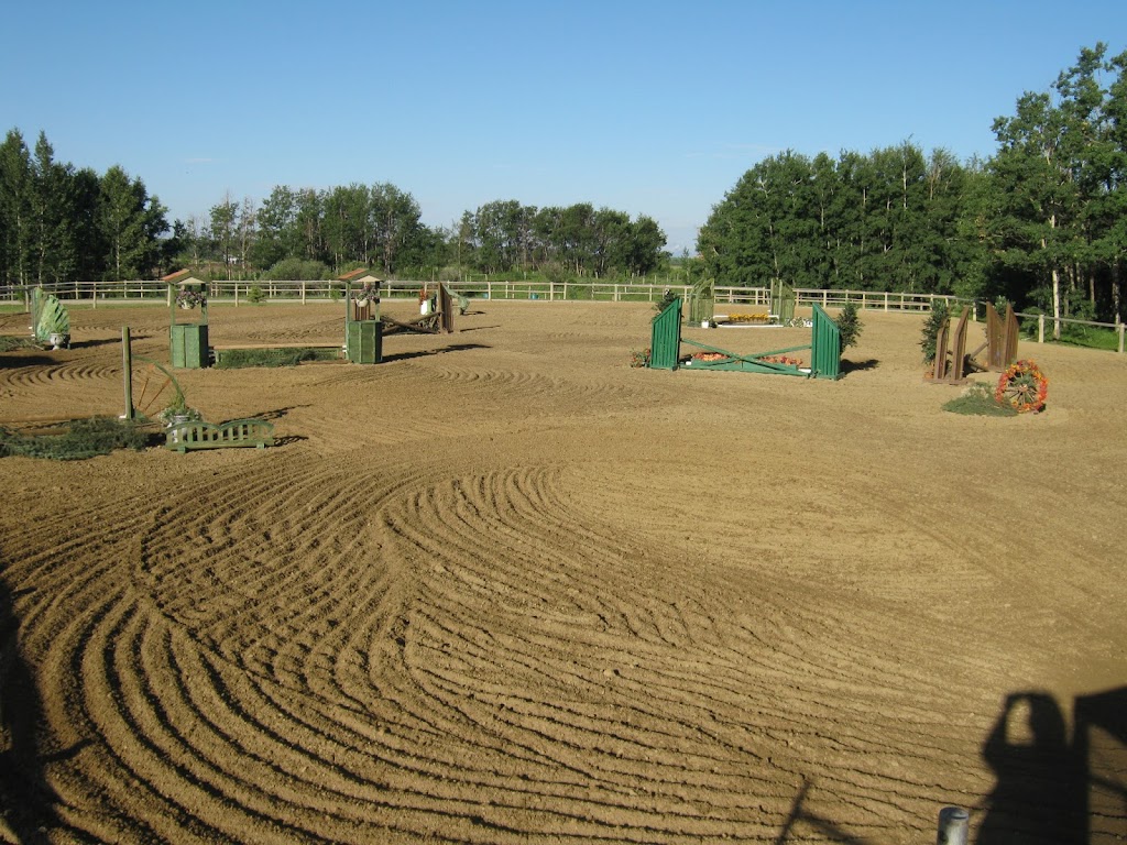 M C Equestrian Centre | 35095 Big Hill Springs Rd, Cochrane, AB T4C 0H4, Canada | Phone: (403) 932-3341