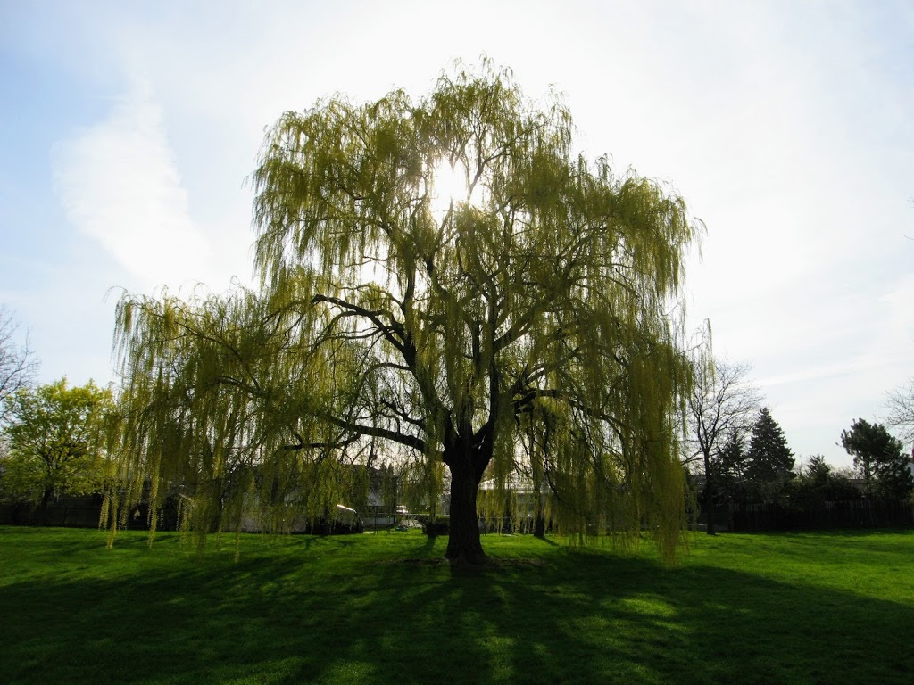 Balmoral Park | Brampton, ON L6T 1V5, Canada