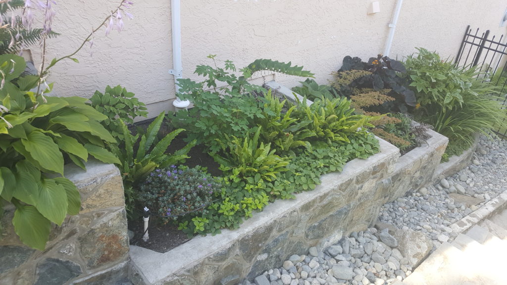 Salt of the Earth Landscaping | 719 Eastridge Pl, Victoria, BC V8Z 6B8, Canada | Phone: (250) 893-1234