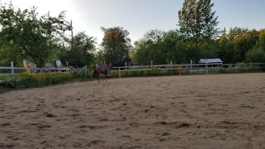 Saddle Tramp Stables | 512 Lockstead Road, Lockstead, NB E9B 1L8, Canada | Phone: (506) 627-6811