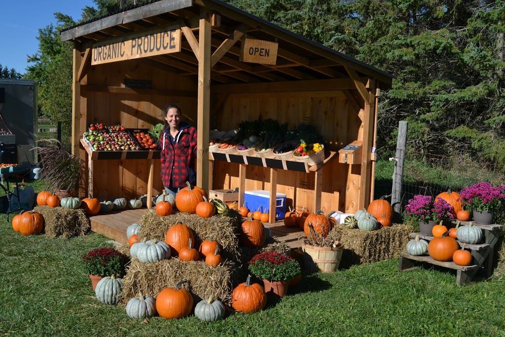 Salad Days Farm | 6794 6 Line, Belwood, ON N0B 1J0, Canada | Phone: (416) 770-1056