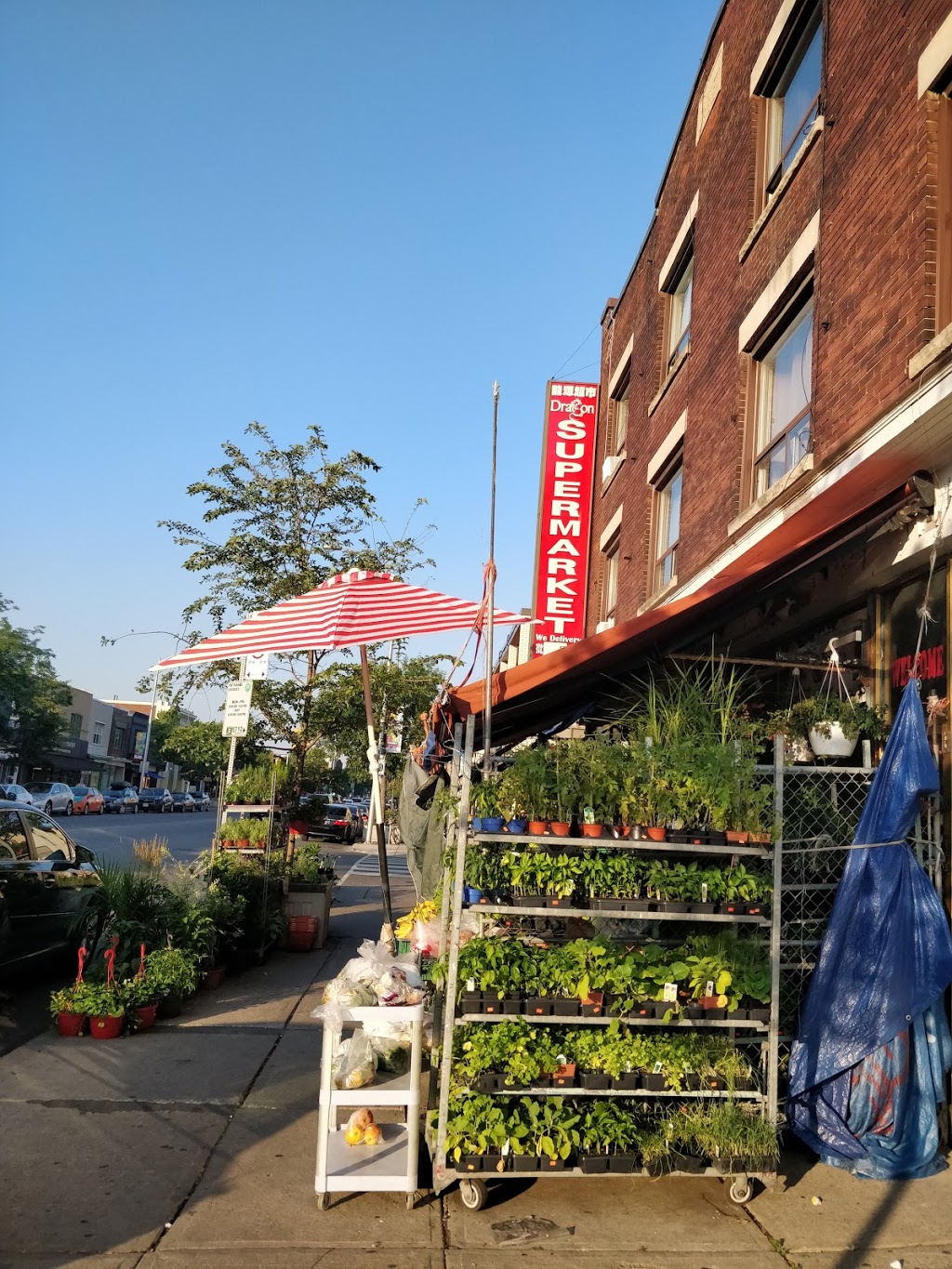 Dragon Supermarket | 1361 Danforth Ave, Toronto, ON M4J 4N8, Canada | Phone: (416) 461-5378