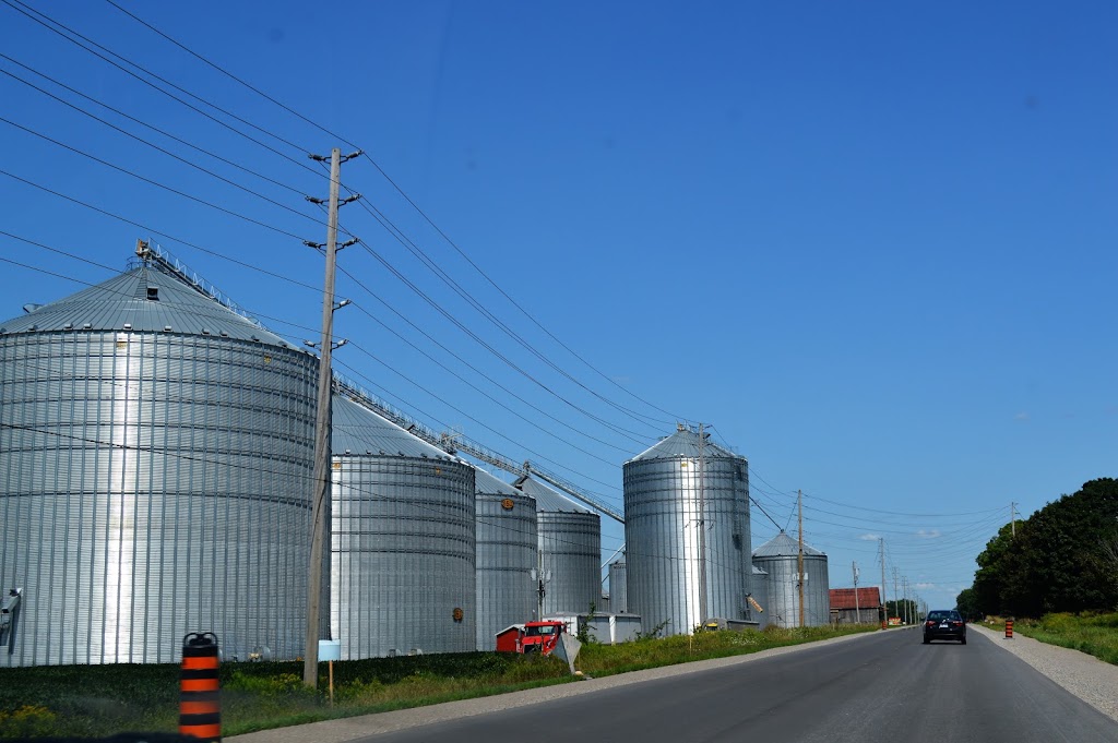 Maizeing Acres Inc. | 4444 County Rd 30, Campbellford, ON K0L 1L0, Canada | Phone: (705) 313-2082