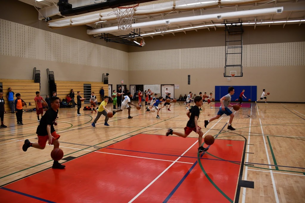 IBSA Basketball - Oakville Training Academy | 528 Burnhamthorpe Rd W, Oakville, ON L6M 4K3, Canada | Phone: (877) 897-1033