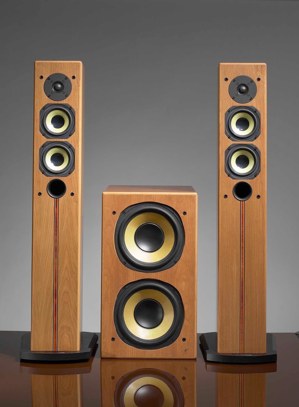 Angstrom Loudspeakers | 391 Marwood Dr Unit 6, Oshawa, ON L1H 7P8, Canada | Phone: (416) 988-8806