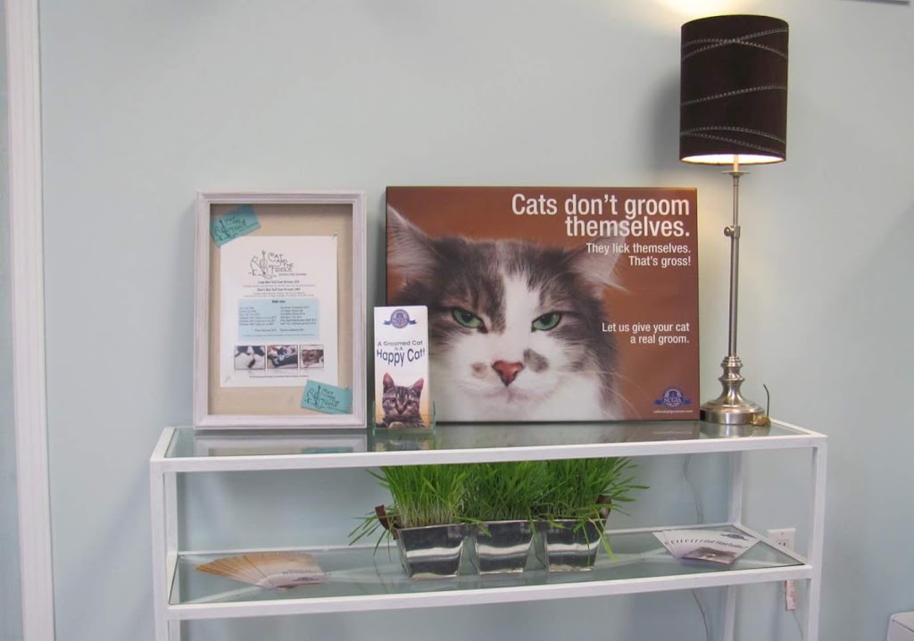 Cat and the Fiddle Exclusive Feline Grooming | inside Lonsdale Grove, 1993 Lonsdale Rd, Breslau, ON N0B 1M0, Canada | Phone: (519) 648-3311