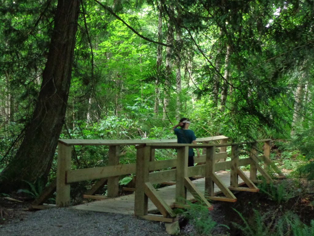 Loggers Creek Nature Trail | Squamish, BC V8B, Canada