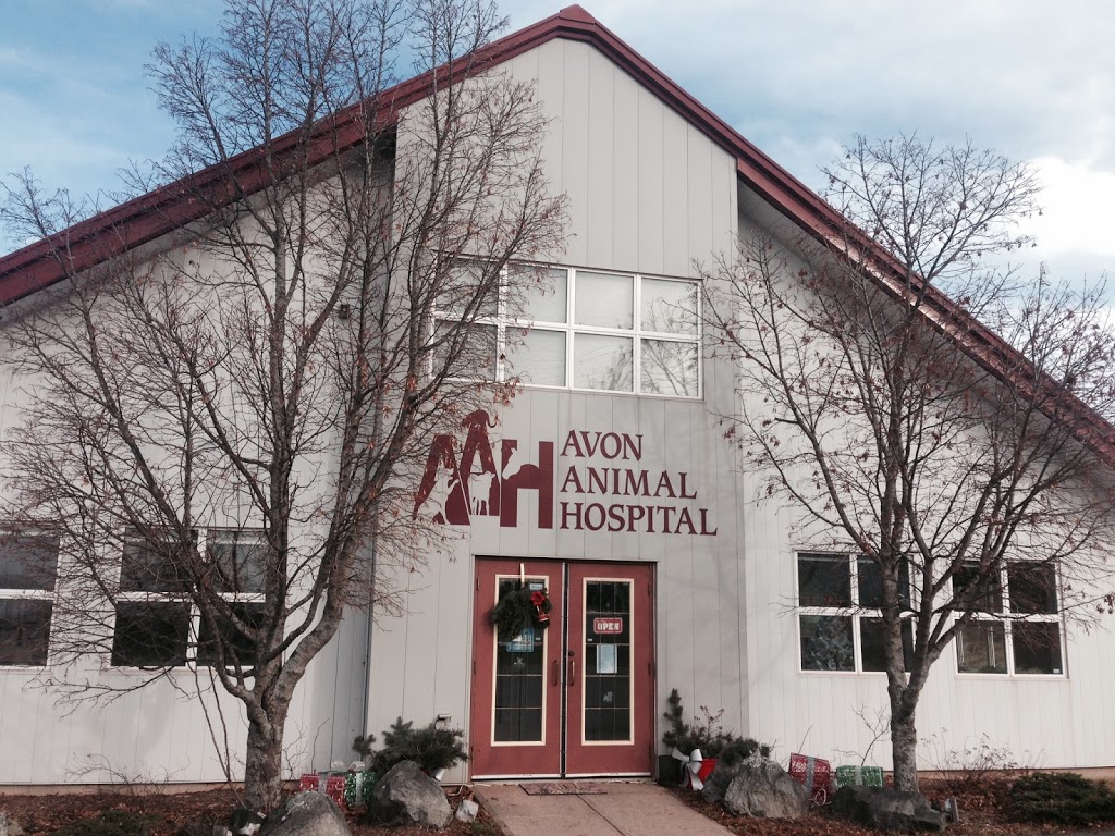 Avon Animal Hospital | 45 Morison Dr, Windsor, NS B0N 2T0, Canada | Phone: (902) 798-4633