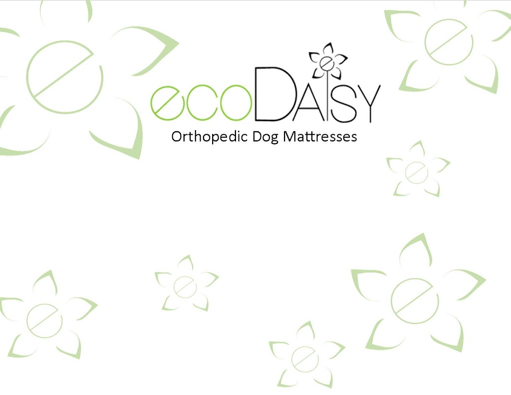 ecoDaisy Orthopedic Dog Mattresses | 4676 Cumberland Rd, Cumberland, BC V0R 1S0, Canada | Phone: (778) 486-9914