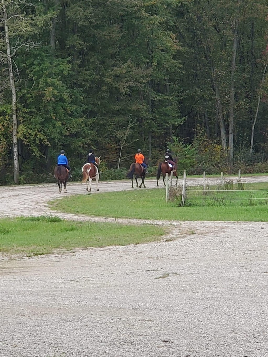 Hayes Equestrian Ltd. | 218 Fairfield Rd, Harley, ON N0E 1E0, Canada | Phone: (289) 208-6255