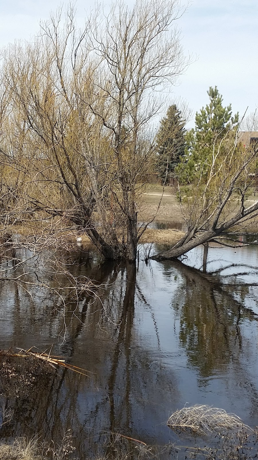 Nose Creek Regional Park | Unnamed Road, Airdrie, AB T4B 1A4, Canada