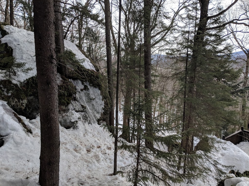 Parc de la forêt ancienne du Mont Wright | 18 Chemin de lEscalade, Stoneham-et-Tewkesbury, QC G3C 0R2, Canada | Phone: (418) 647-0909