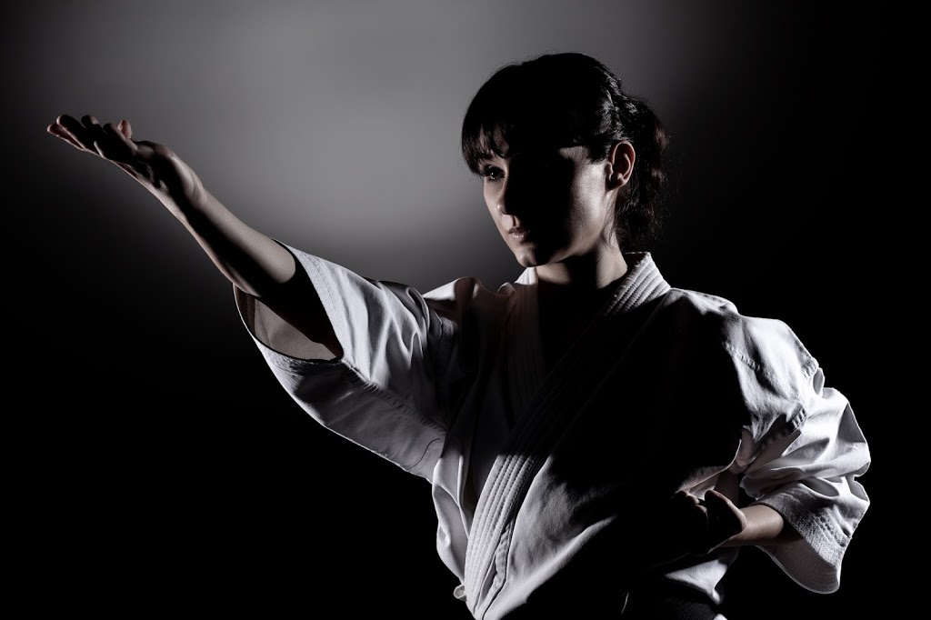Shotokan Karate Rawdon | 6550 QC-125, Rawdon, QC J0K 1S0, Canada | Phone: (450) 834-1373