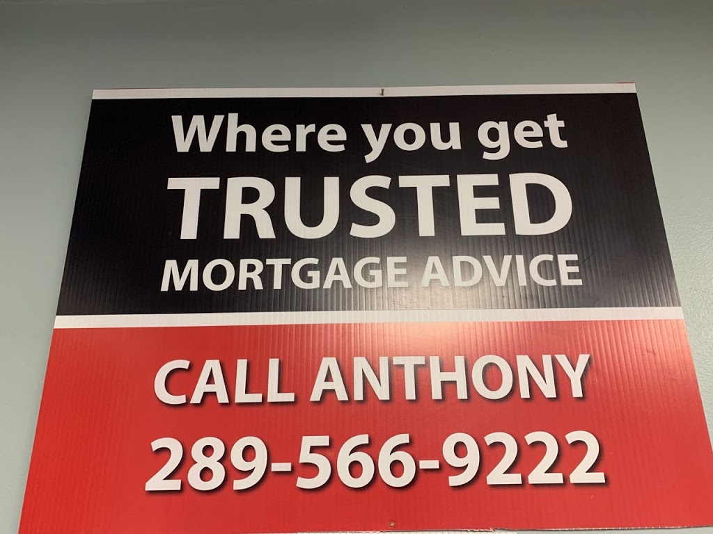 Anthony Timpano - Mortgage Architects | 4960 King St, Beamsville, ON L0R 1B0, Canada | Phone: (289) 566-9222