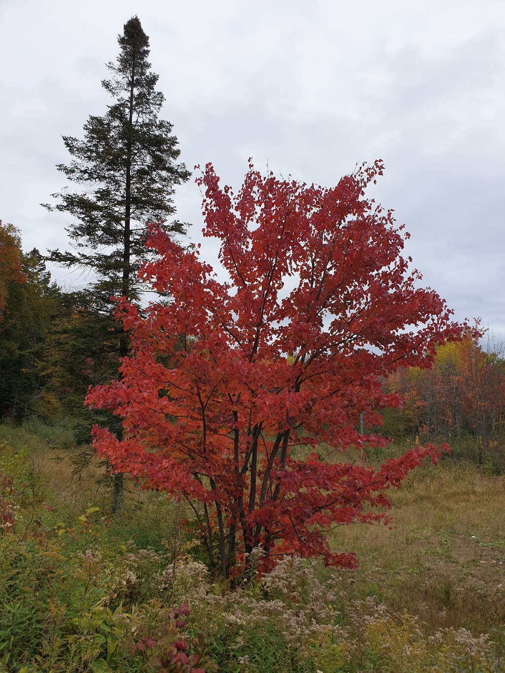 Sentier des Pionniers | 45 Chemin Cambria, Gore, QC J0V 1K0, Canada